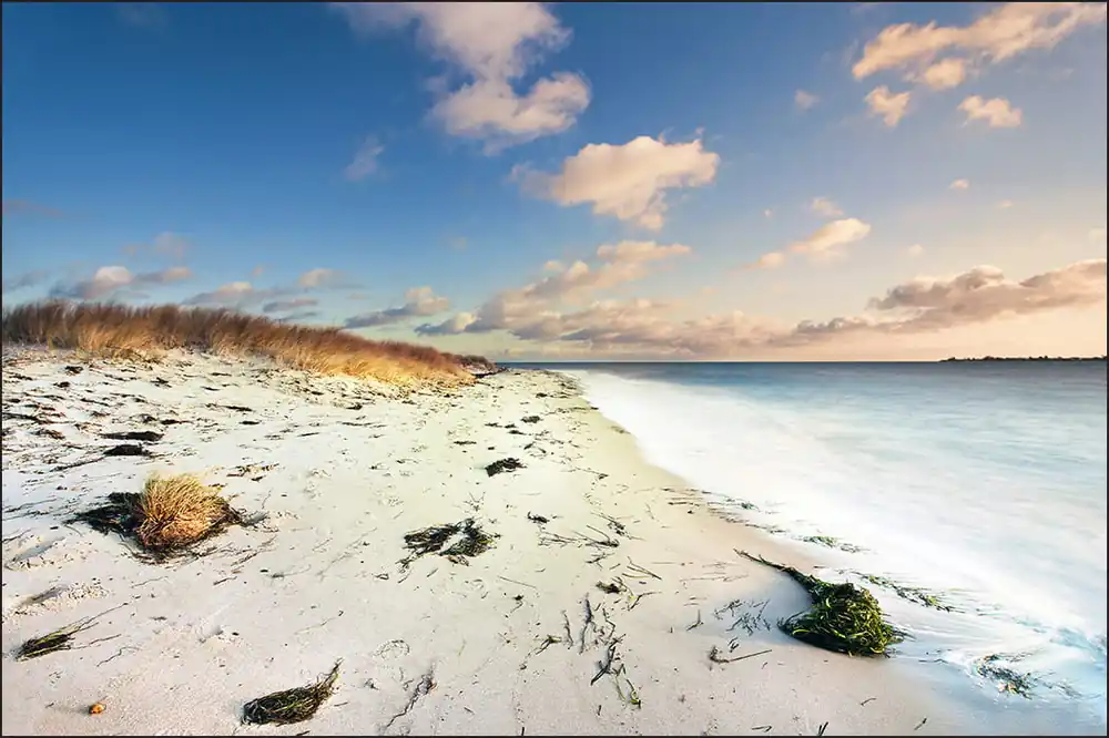 Fototapeta Plaża Morze Wydmy Kup online