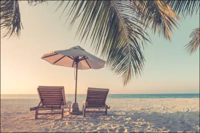 Fototapeta Plaża Ocean Palmy Premium