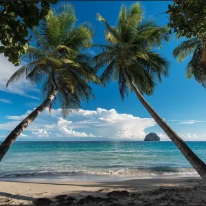 Wysoka jakość Fototapeta Plaża Ocean Palmy