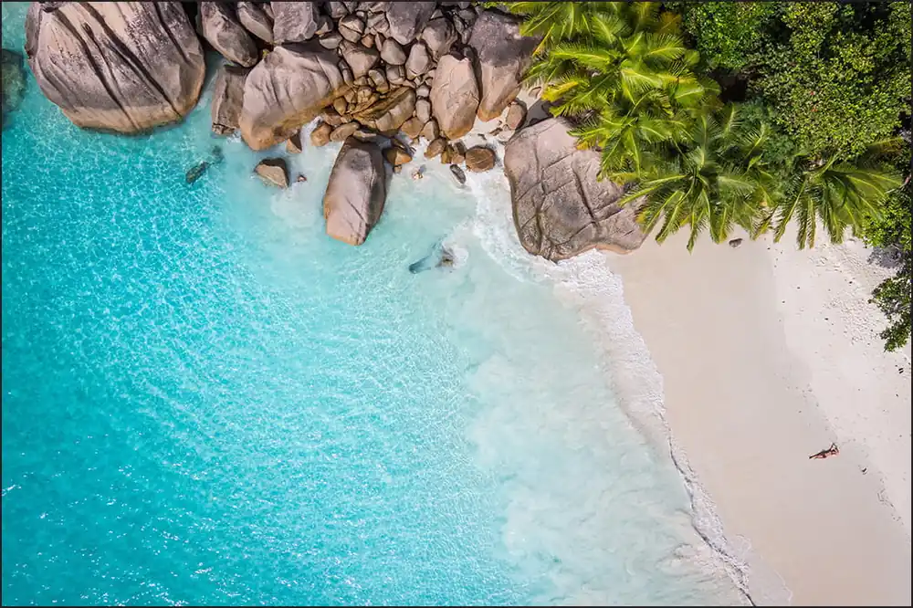 Fototapeta Plaża Ocean Palmy Wyprzedaż