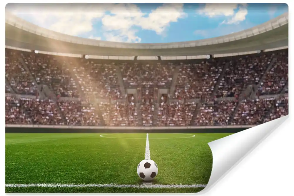 Fototapeta Piłka Nożna Stadion Premium