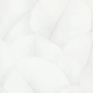 Oferta czasowa Tapeta ścienna liście Kumano 34507 Marburg