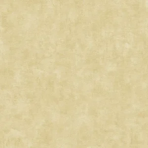 Bezpieczna płatność Tapeta ścienna beton Terra 38922-7 AS Creation