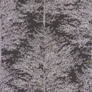 Hit cenowy Tapeta ścienna drzewa La Foret 102979037 Caselio