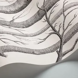 Tapeta ścienna w brzozy drzewa Woods 69/12147 Cole & Son Szybka wysyłka