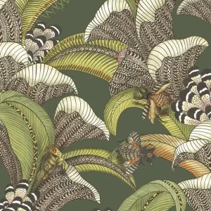 Taniej Tapeta ścienna rośliny owady Jabula 119/1003 Hoopoe Leaves Cole & Son
