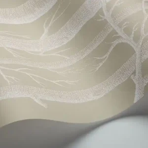 Tapeta ścienna w brzozy drzewa Woods 69/12149 Cole & Son Wyprzedaż