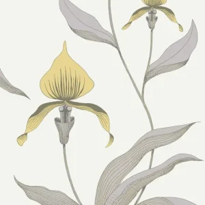 Tapeta ścienna kwiaty orchidea Orchid 95/10057 Cole & Son Premium