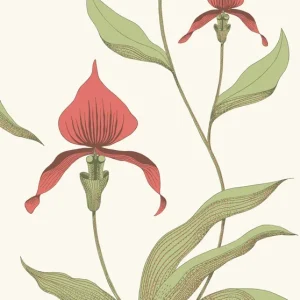 Sprawdź teraz Tapeta ścienna kwiaty orchidea Orchid 95/10054 Cole & Son