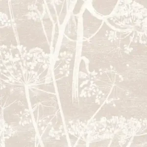 Taniej Tapeta ścienna barszcz kwiaty Cow Parsley 95/9051 Cole & Son