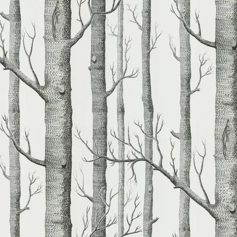 Tapeta ścienna w drzewa brzozy 69/12147 Woods The Contemporary Collection Cole & Son Kup teraz