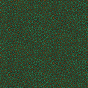 Wyjątkowa oferta Tapeta ścienna w centki Ardmore 109/6033 Cole & Son