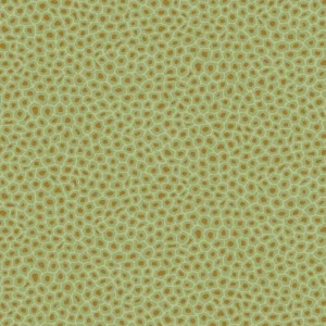 Tapeta ścienna w centki Ardmore 109/6029 Cole & Son Taniej