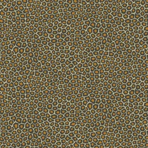 Tapeta ścienna w centki Ardmore 109/6027 Cole & Son Nie przegap