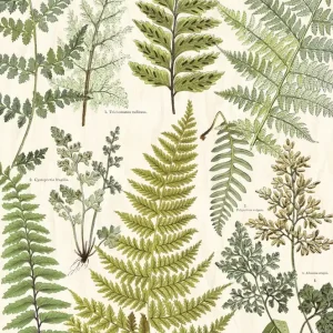 Dodaj do koszyka Panel ścienny w liście Geonature 366104 Eijffinger