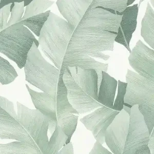 Oferta limitowana Tapeta ścienna jasnozielona w liście bananowca Avalon 31650 Marburg