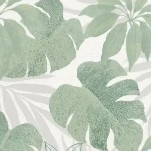 Tapeta ścienna w liście monstera Avalon 31604 Marburg Nowy
