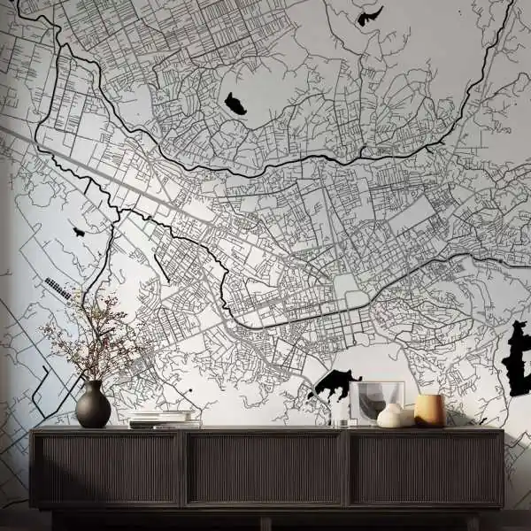 Tapeta na ścianę - MAPA TIRANA Niska cena