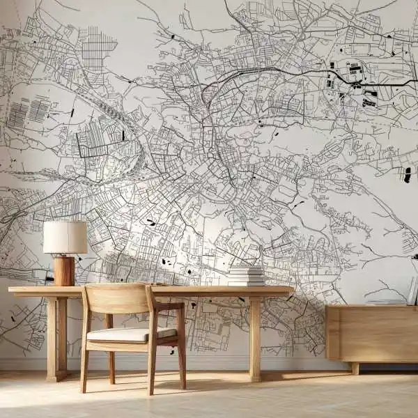 Hit sprzedaży Tapeta na ścianę - MAPA LWÓW