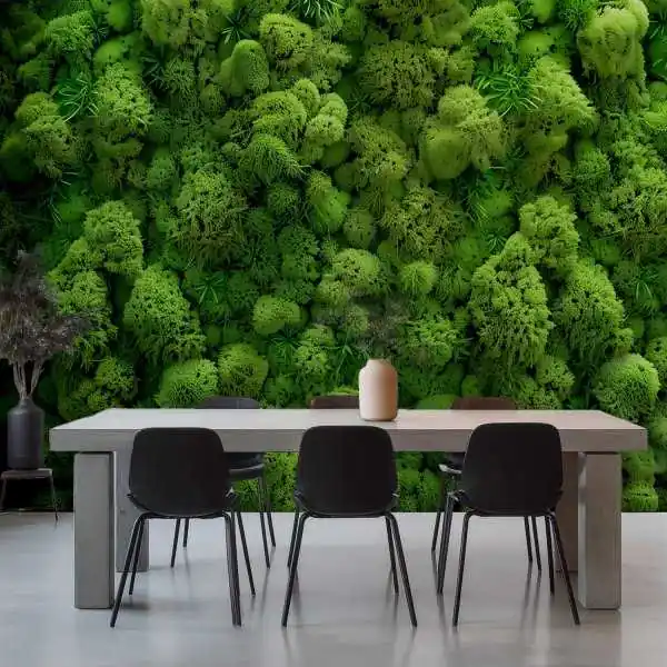 Tapeta na ścianę - Reindeer Moss Wall Taniej