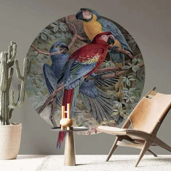 Rabat Tapeta w kształcie koła - JUNGLE PARROTS
