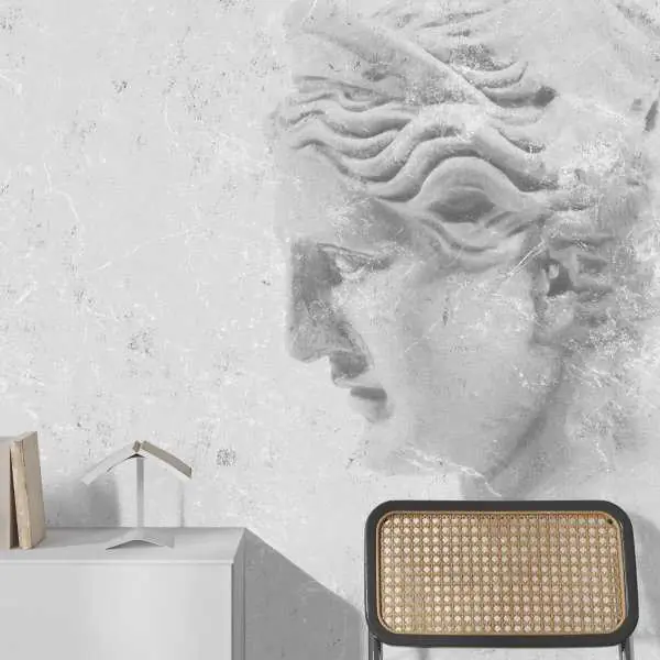 Dodaj do koszyka Tapeta na ścianę - GREEK GOD
