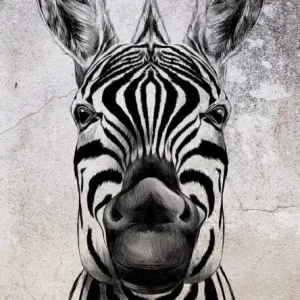 Do wyczerpania zapasów Mural fototapeta 2516N-81 Cool zebra - Zoom