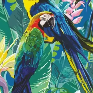 Darmowa dostawa Mural fototapeta 2518N-81 Cheeky Parrots - Zoom