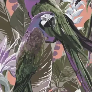 Mural fototapeta 2518N-82 Cheeky Parrots - Zoom Wyjątkowa oferta