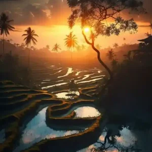Mural fototapeta 2531N-81 Ricefields by Night - Zoom Oferta limitowana