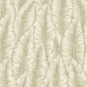 TAPETA CU3203 CUMARU Premium