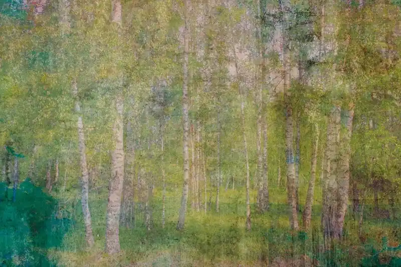 FotoTAPETA na flizelinie MS-5-0351 Abstrakcyjne liście 375 x 250 cm Darmowy zwrot