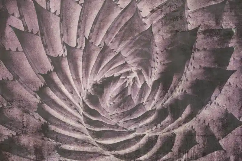 Bezpieczne zakupy FotoTAPETA na flizelinie MS-5-0352 Abstrakcyjny kaktus 375 x 250 cm