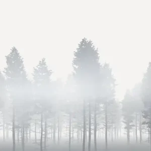 Fototapeta na Flizelinie RSX8-055 Silver Haze Ostatnie sztuki