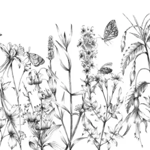 Fototapeta na Flizelinie X8-1085 Butterfly Field Oferta
