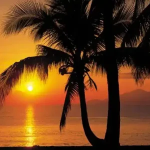 FotoTAPETA 8-255 Palm Beach Sunrise Popularny