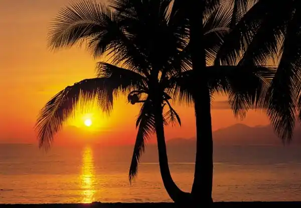 FotoTAPETA 8-255 Palm Beach Sunrise Popularny