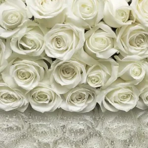 Zniżka FOTOTAPETA 8-314 A La Rose