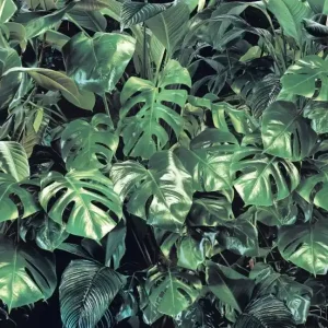 Sprawdź teraz FotoTAPETA 8-333 VERDURE MONSTERA