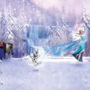 Wysoka jakość FotoTAPETA 8-499 Frozen Forest