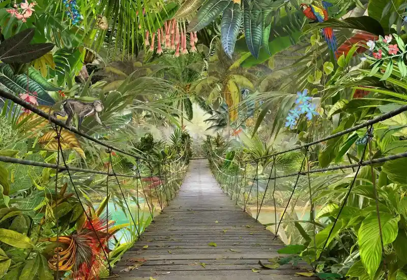 FotoTAPETA 8-977 WILD BRIDGE Nowy