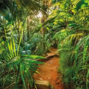FotoTAPETA 8-989 Jungle Trail Oferta limitowana