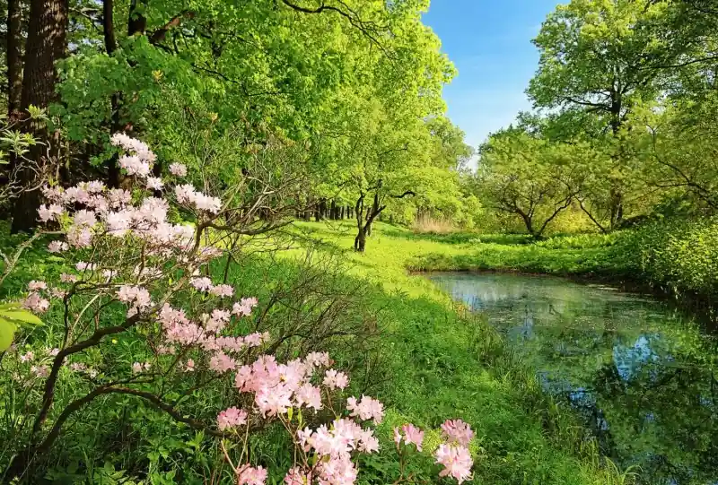 FotoTAPETA flizelinowa 5408-8 Park in the Spring Szybka wysyłka