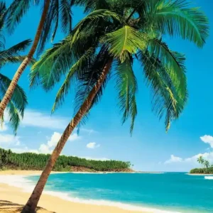Wyjątkowa oferta FotoTAPETA flizelinowa 5421-8 Ile Tropicale