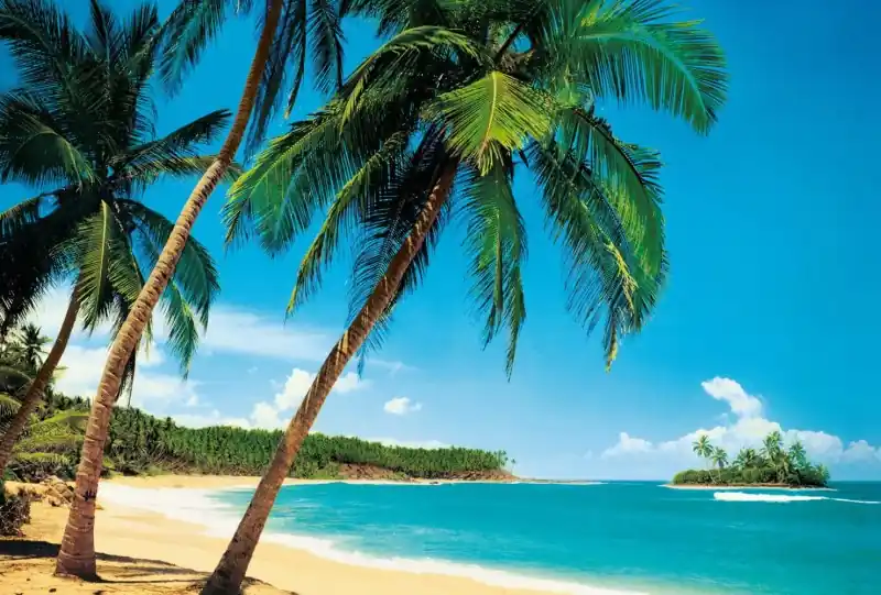 Wyjątkowa oferta FotoTAPETA flizelinowa 5421-8 Ile Tropicale