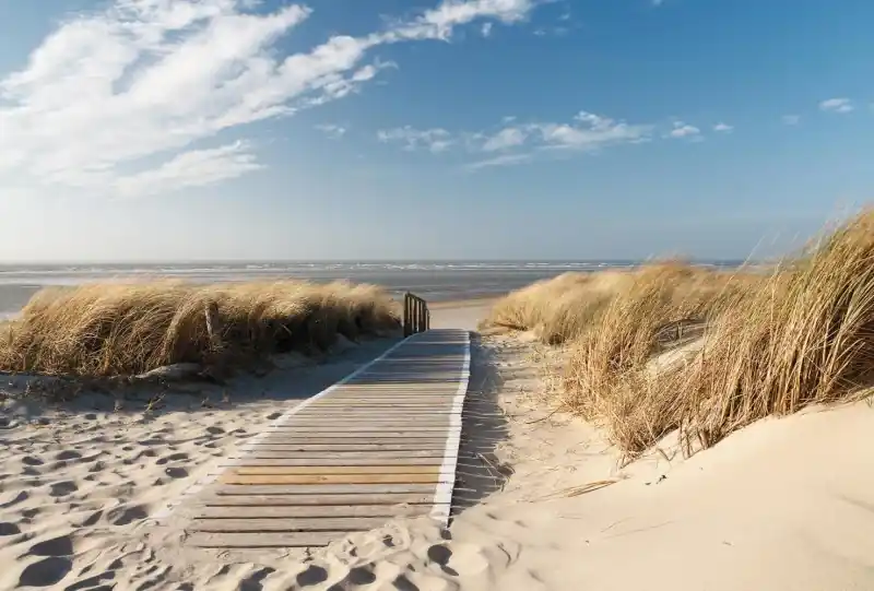 Oferta FotoTAPETA flizelinowa 5437-8 On the Baltic Sea