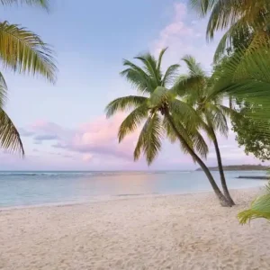 Najlepsza cena FotoTAPETA na flizelinie XXL4-528 Paradise Morning