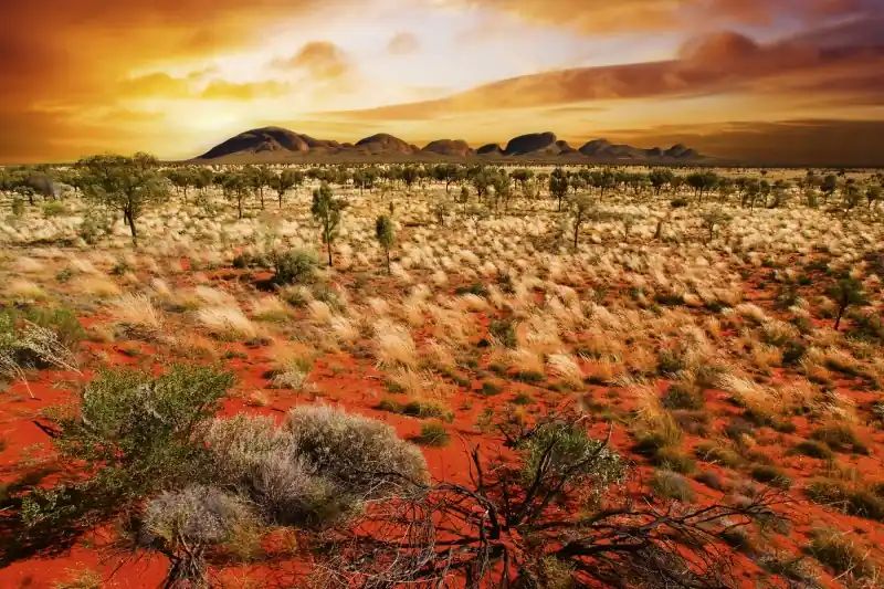 Nowość FotoTAPETA na flizelinie MS-5-0050 AUSTRALIAN LANDSCAPE