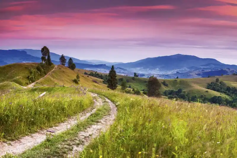 FotoTAPETA na flizelinie MS-5-0061 BLOOMING HILLS Szybka wysyłka