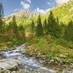 Wysoka jakość FotoTAPETA na flizelinie MS-5-0077 VALLEY